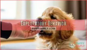 exploratory behavior exploratory behavior