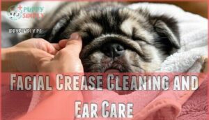 facial crease cleaning and ear care