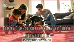 family compatibility of border collie rottweiler mix