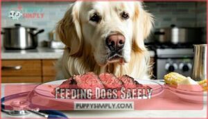 feeding dogs safely