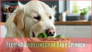feeding guidelines for baby spinach