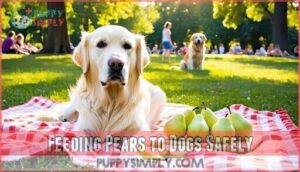 feeding pears to dogs safely
