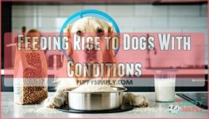 feeding rice to dogs with conditions