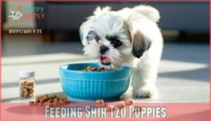 feeding shih tzu puppies