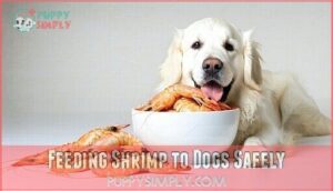 feeding shrimp to dogs safely
