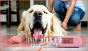 fever over 104.5f