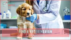find a veterinarian