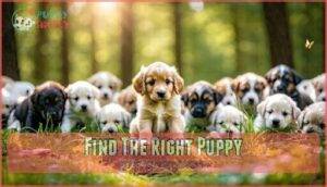 find the right puppy