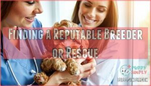 finding a reputable breeder or rescue