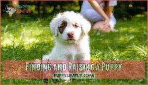 finding and raising a puppy