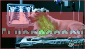 fluoroscopy