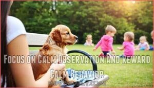 focus on calm observation and reward calm behavior