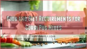 food and diet requirements for corgi pug mixes