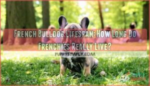french bulldog lifespan