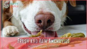 fresh and raw anchovies