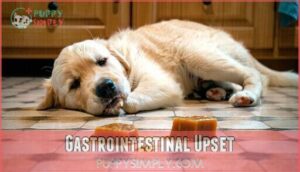 gastrointestinal upset