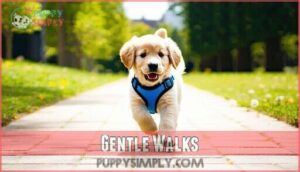 gentle walks