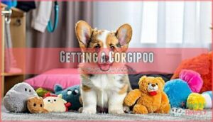getting a corgipoo