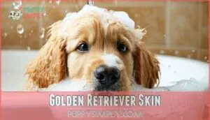 golden retriever skin