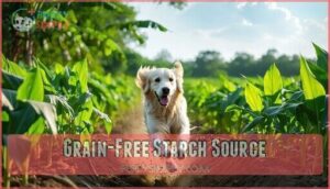 grain-free starch source