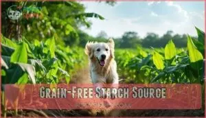 grain-free starch source