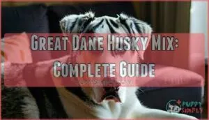 great dane husky mix