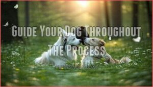guide your dog throughout the process