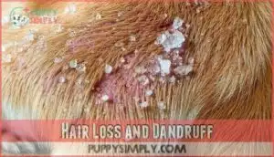 hair loss and dandruff