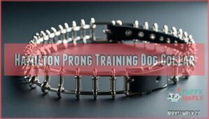 hamilton prong training dog collar