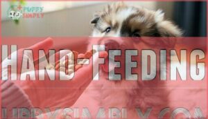 hand-feeding