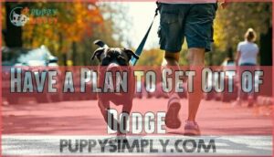 have a plan to get out of dodge
