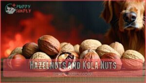 hazelnuts and kola nuts