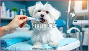 health care