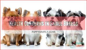 health concerns in small breeds