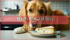 health risks for dogs health risks for dogs