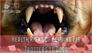 health risks of feeding pig trotters to dogs