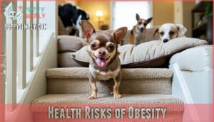 health risks of obesity