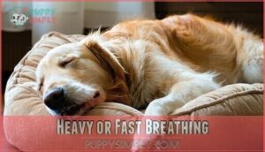 heavy or fast breathing