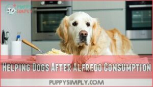 helping dogs after alfredo consumption