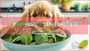 high in antioxidants and fiber