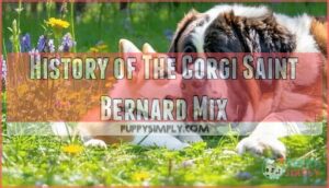 history of the corgi saint bernard mix