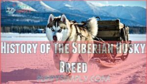 history of the siberian husky breed