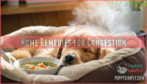 home remedies for congestion
