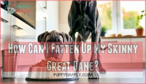 how can i fatten up my skinny great dane