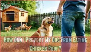 how can i prevent my dog from eating chicken poop
