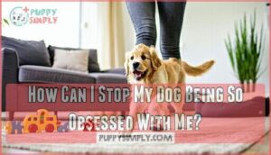 how can i stop my dog being so obsessed with me