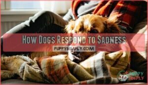 how dogs respond to sadness