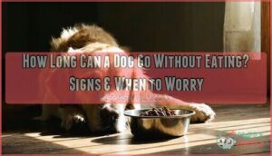 how long can a dog go without eating