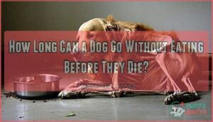 how long can a dog go without eating before they die