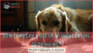 how long can a dog go without eating or drinking